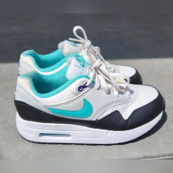 air max 1 dusty cactus